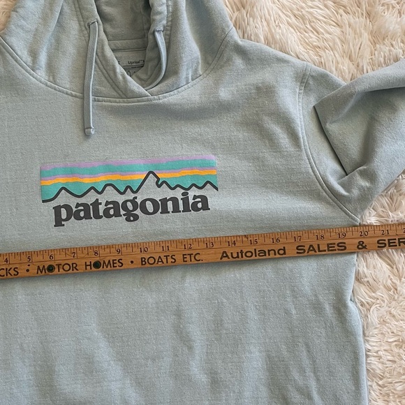 Patagonia Mint Pastel Hoodie Sweater Size M - Picture 7 of 11